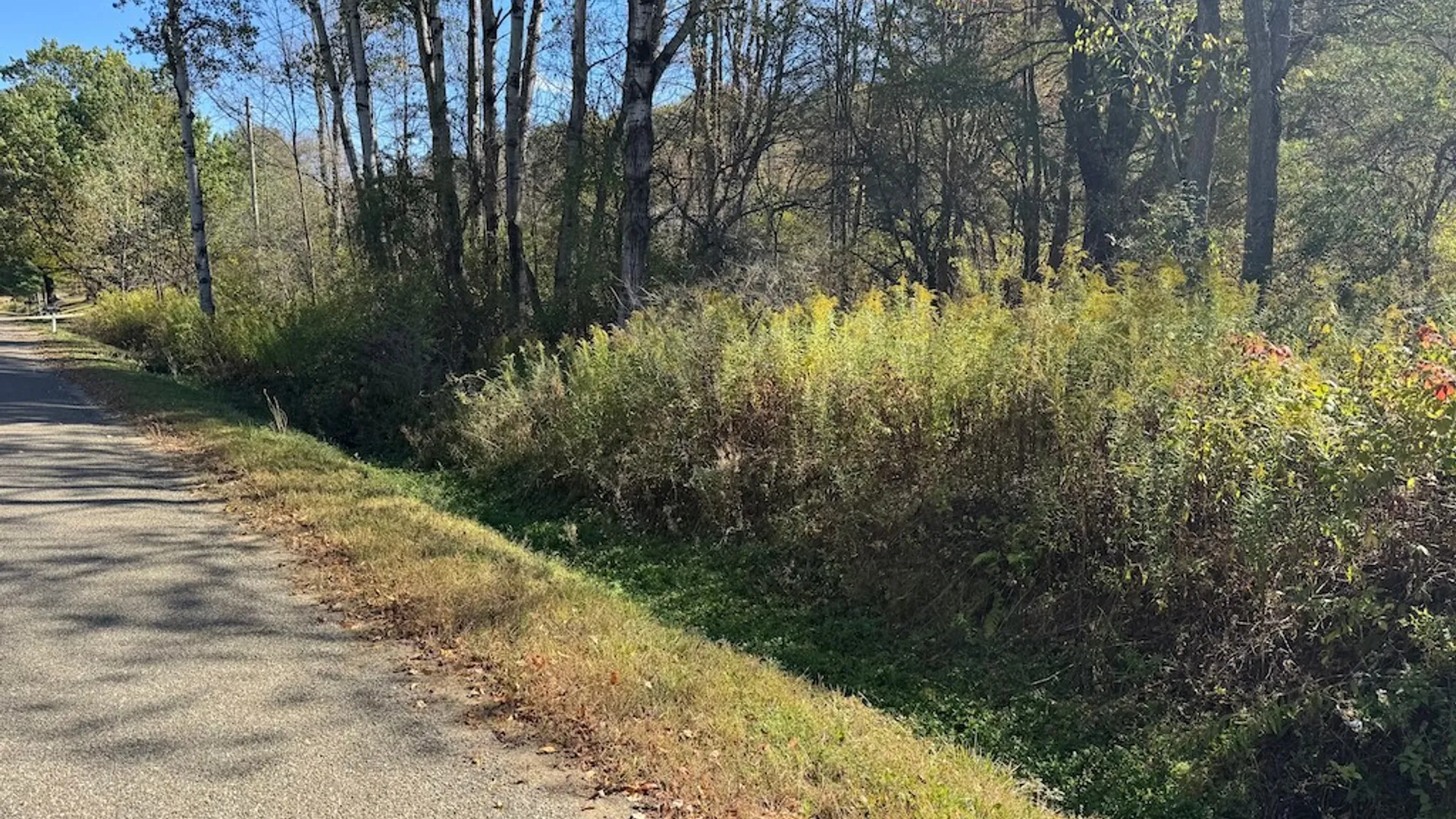 Property at 4755 Fay Hollow Road, Humphrey, NY 14741 5