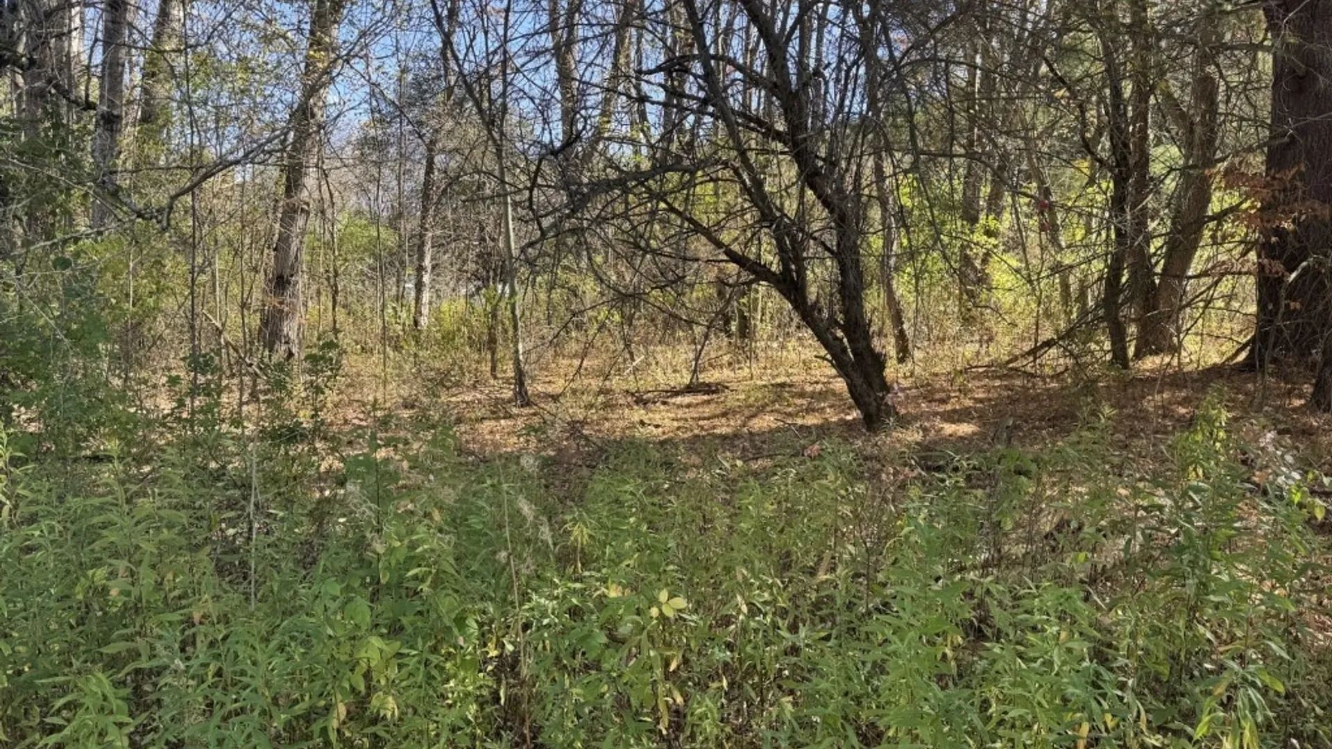 Property at 4755 Fay Hollow Road, Humphrey, NY 14741 6