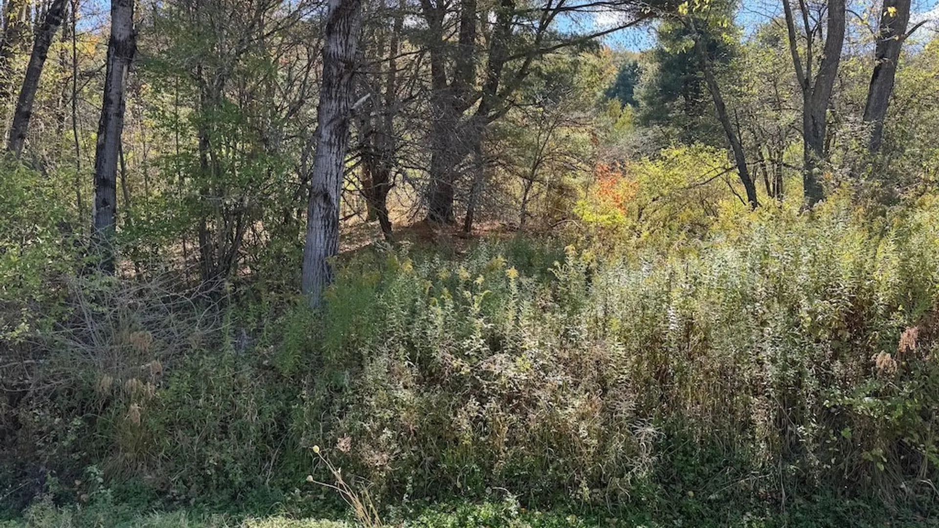 Property at 4755 Fay Hollow Road, Humphrey, NY 14741 7