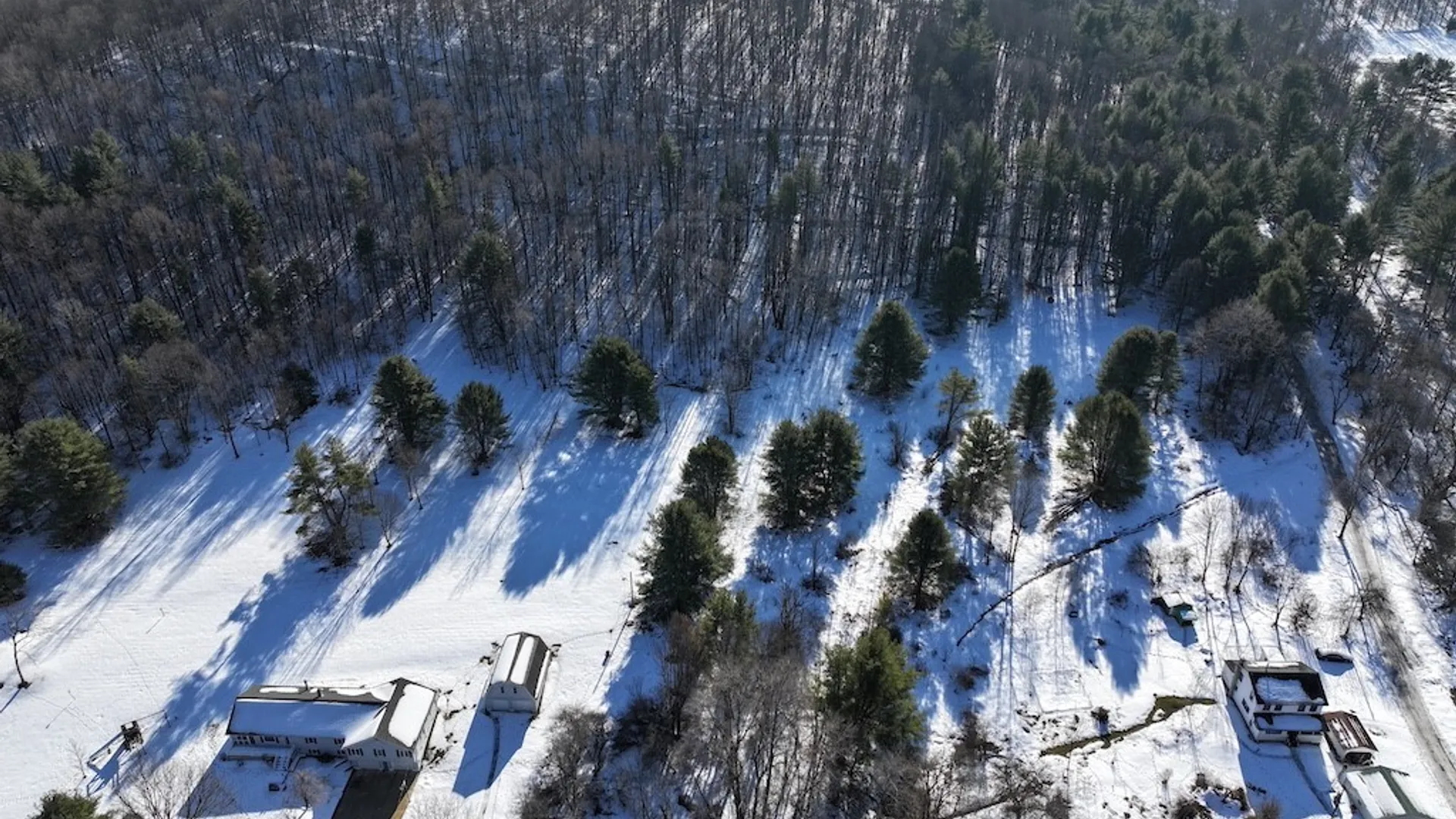 Property at 4755 Fay Hollow Road, Humphrey, NY 14741 8