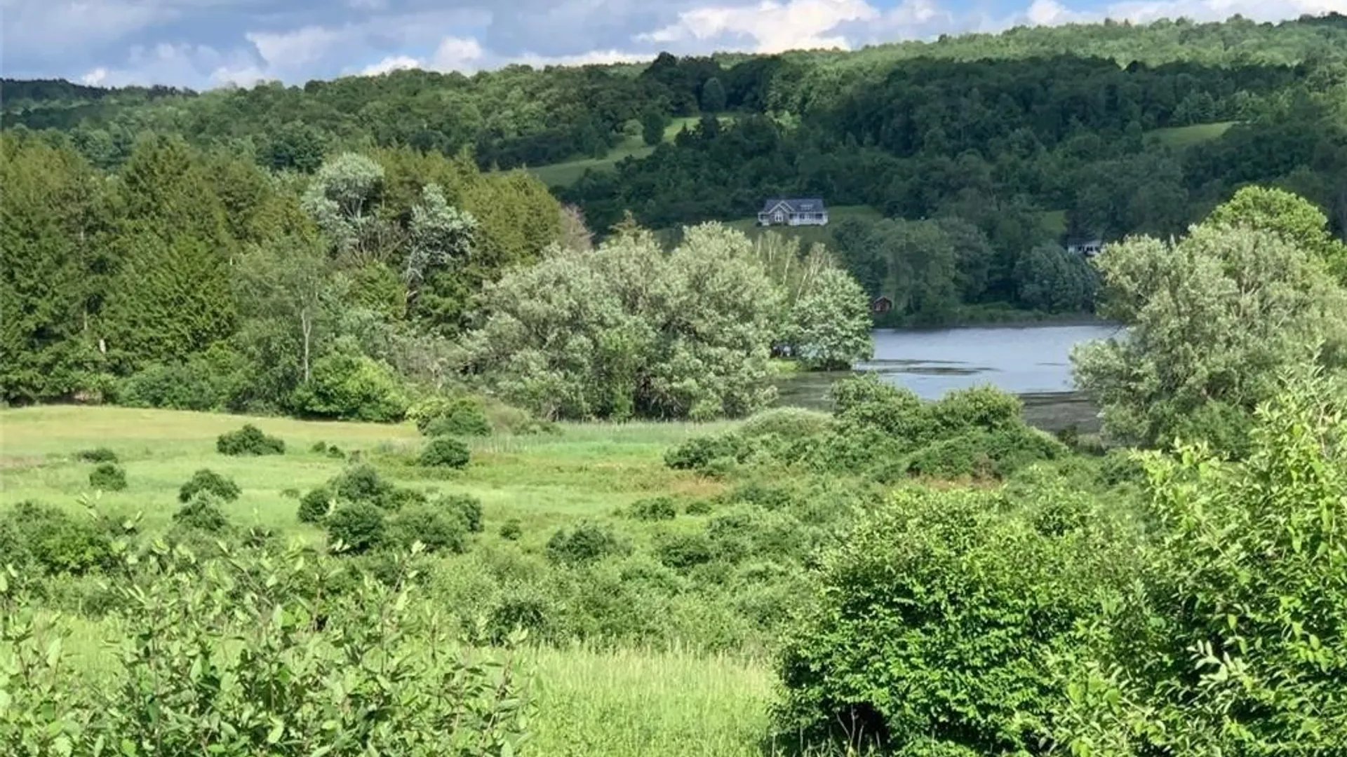 Property at 0 E Lake Road, Madison, NY 13346 6