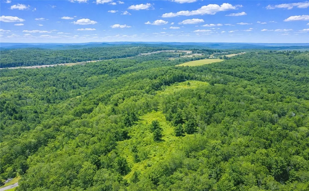 Property at Sam Brown Road, Barton, NY 14859