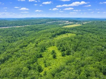 Property at Sam Brown Road, Barton, NY 14859