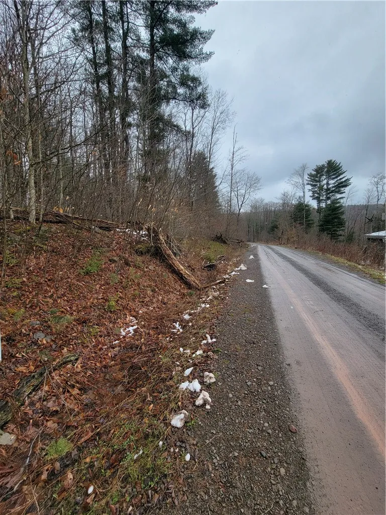 Property at 0 Schlafer Road, Guilford, NY 13780