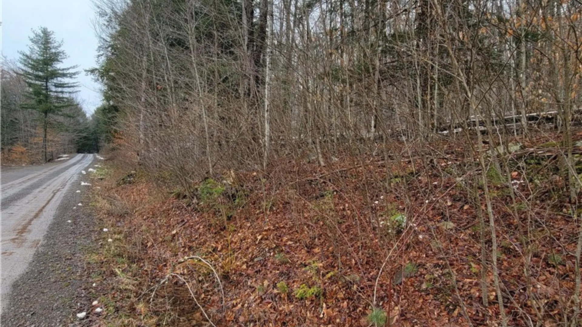 Property at 0 Schlafer Road, Guilford, NY 13780 13