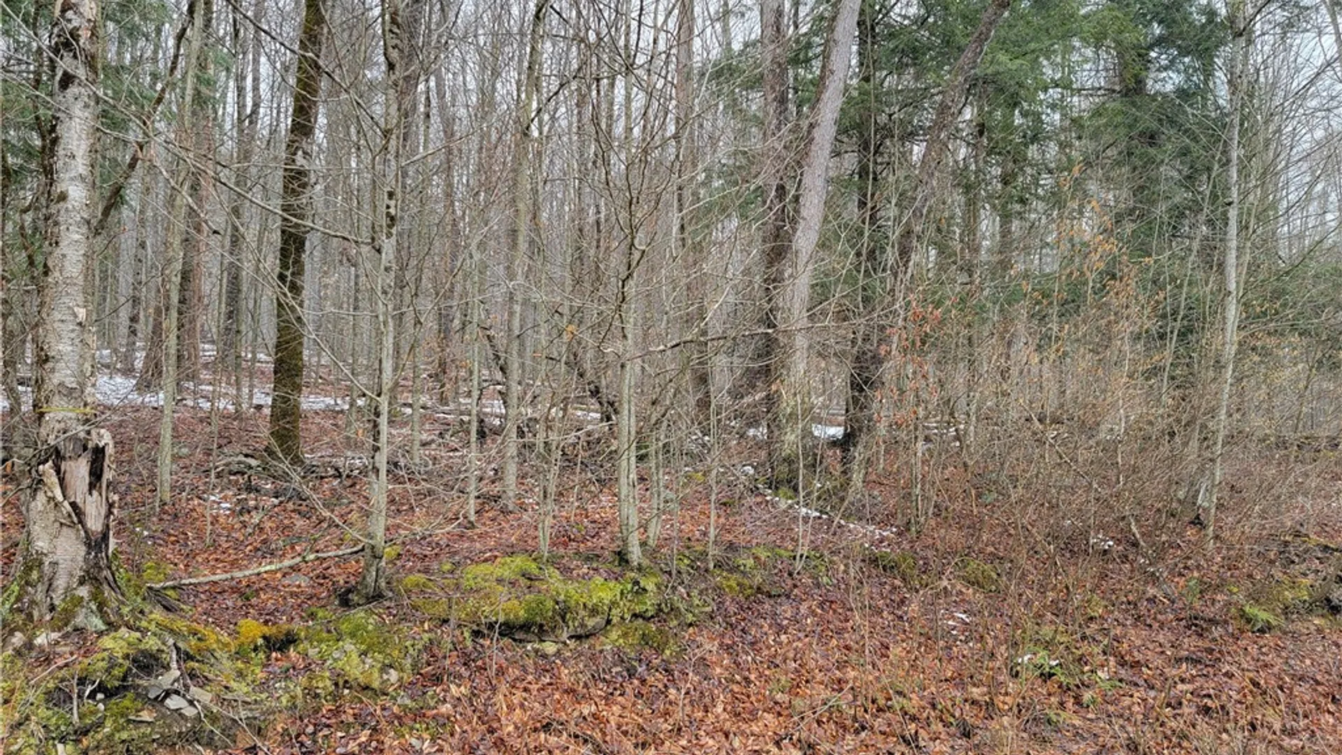 Property at 0 Schlafer Road, Guilford, NY 13780 3