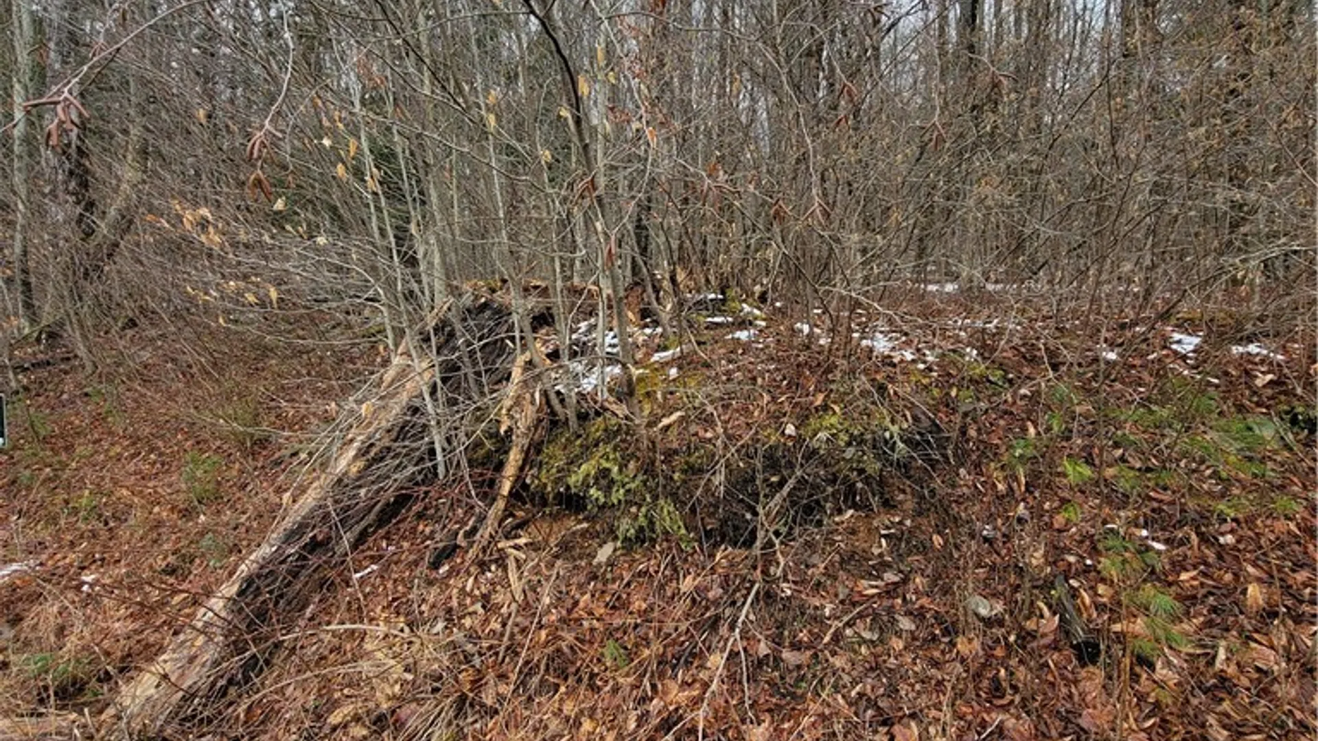 Property at 0 Schlafer Road, Guilford, NY 13780 11