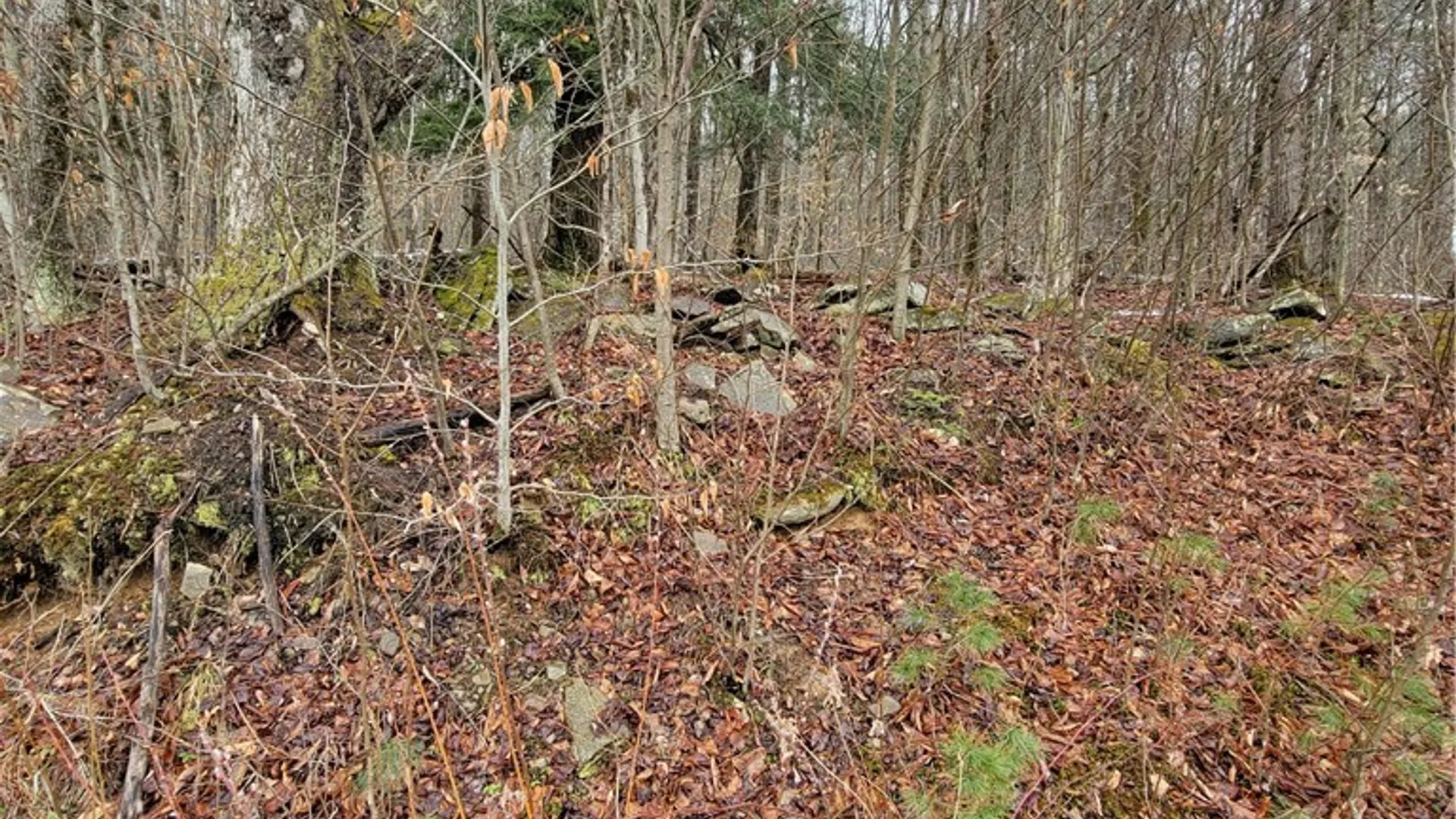 Property at 0 Schlafer Road, Guilford, NY 13780 12