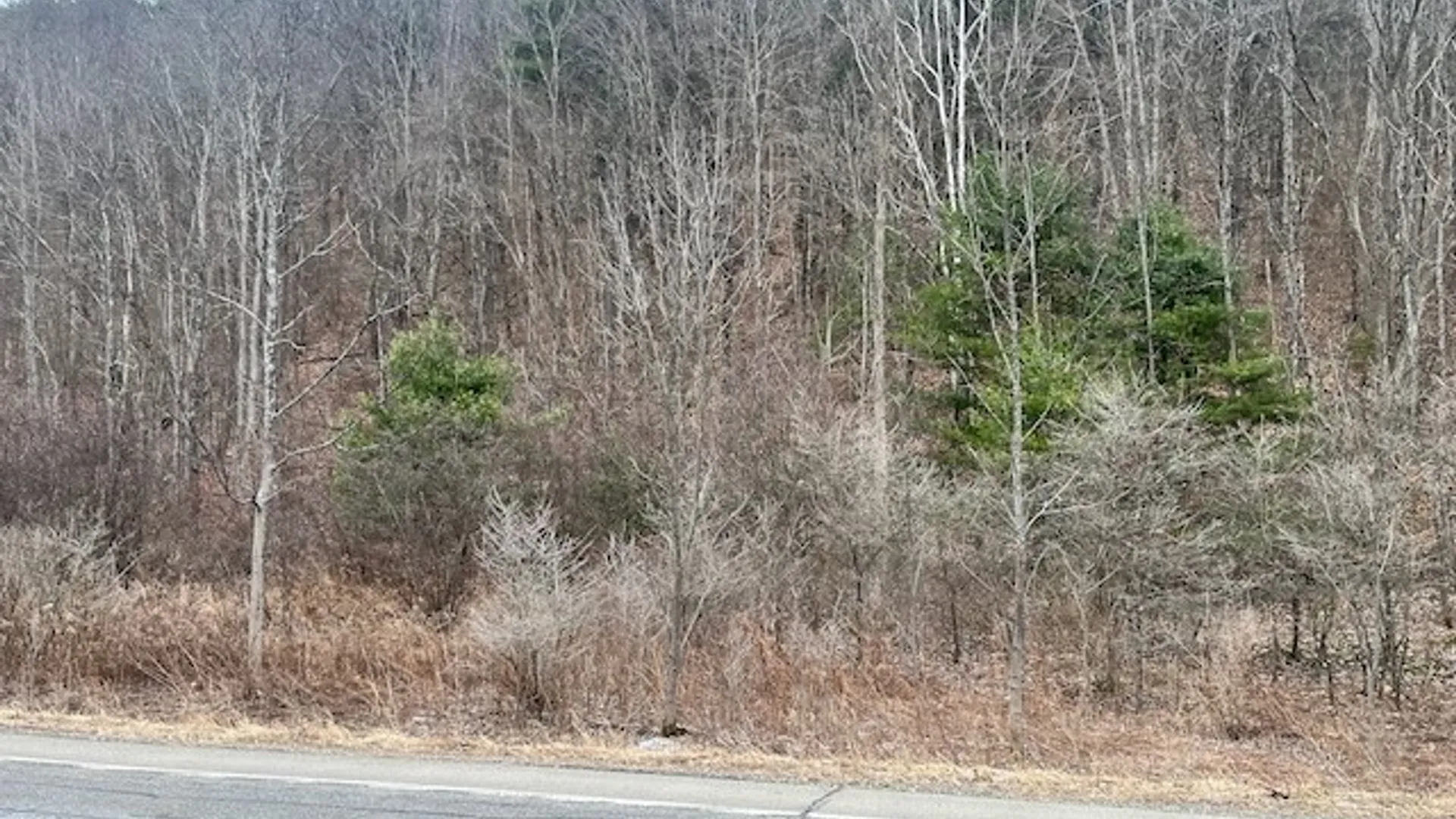 Property at 322 Nys Route 34, Van Etten, NY 14889 5