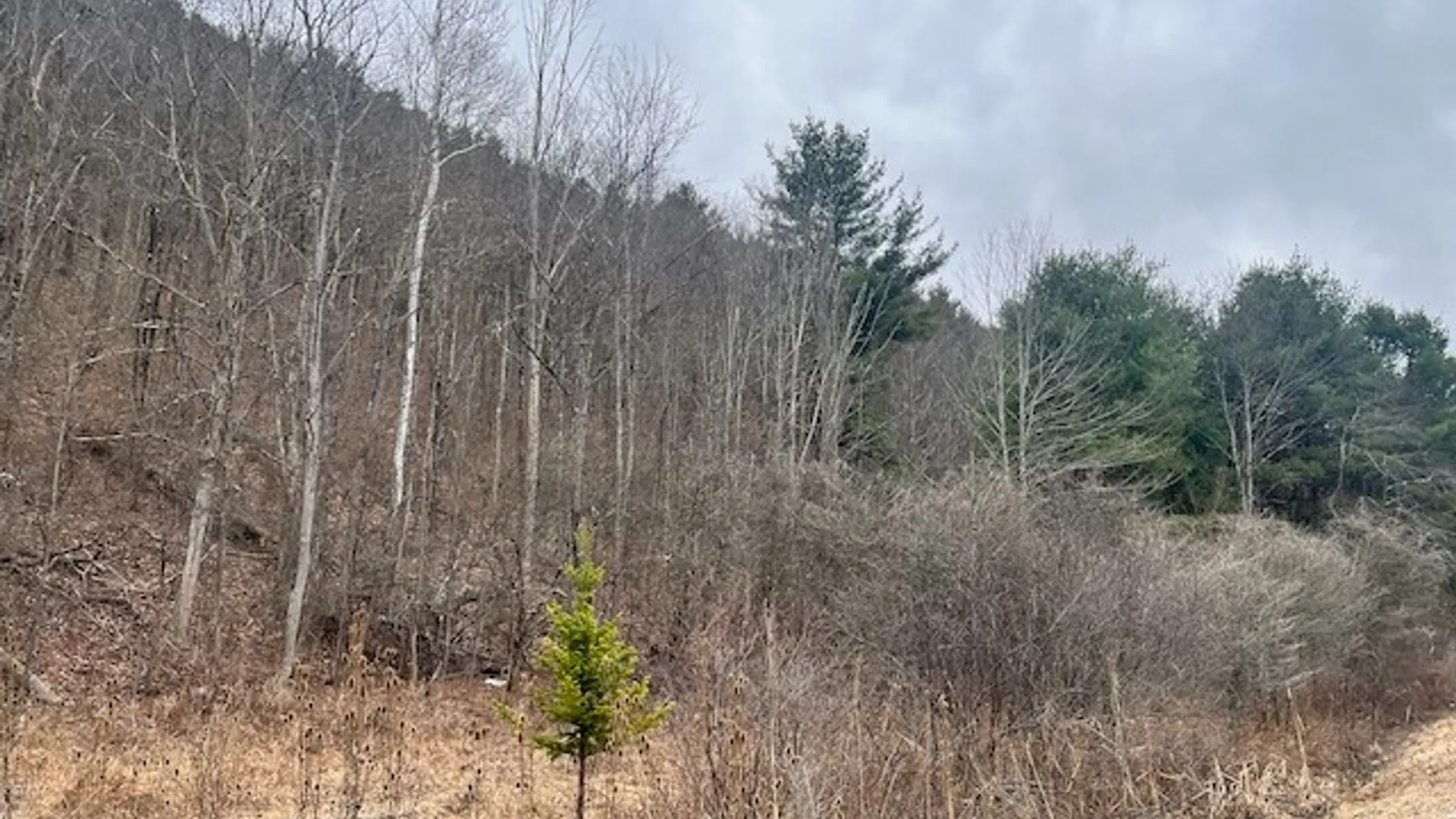 Property at 322 Nys Route 34, Van Etten, NY 14889 7