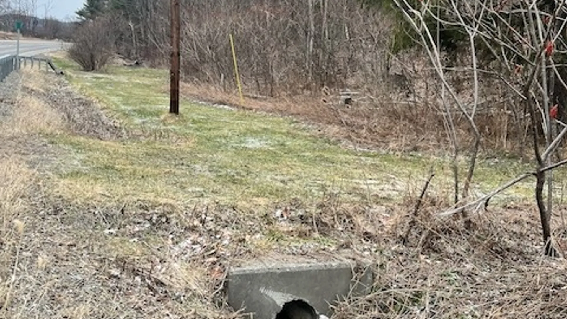 Property at 322 Nys Route 34, Van Etten, NY 14889 9