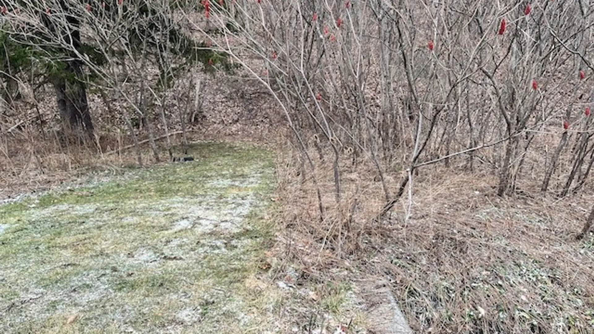 Property at 322 Nys Route 34, Van Etten, NY 14889 11