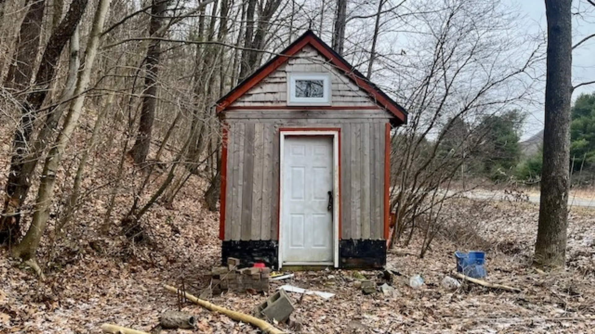 Property at 322 Nys Route 34, Van Etten, NY 14889 13