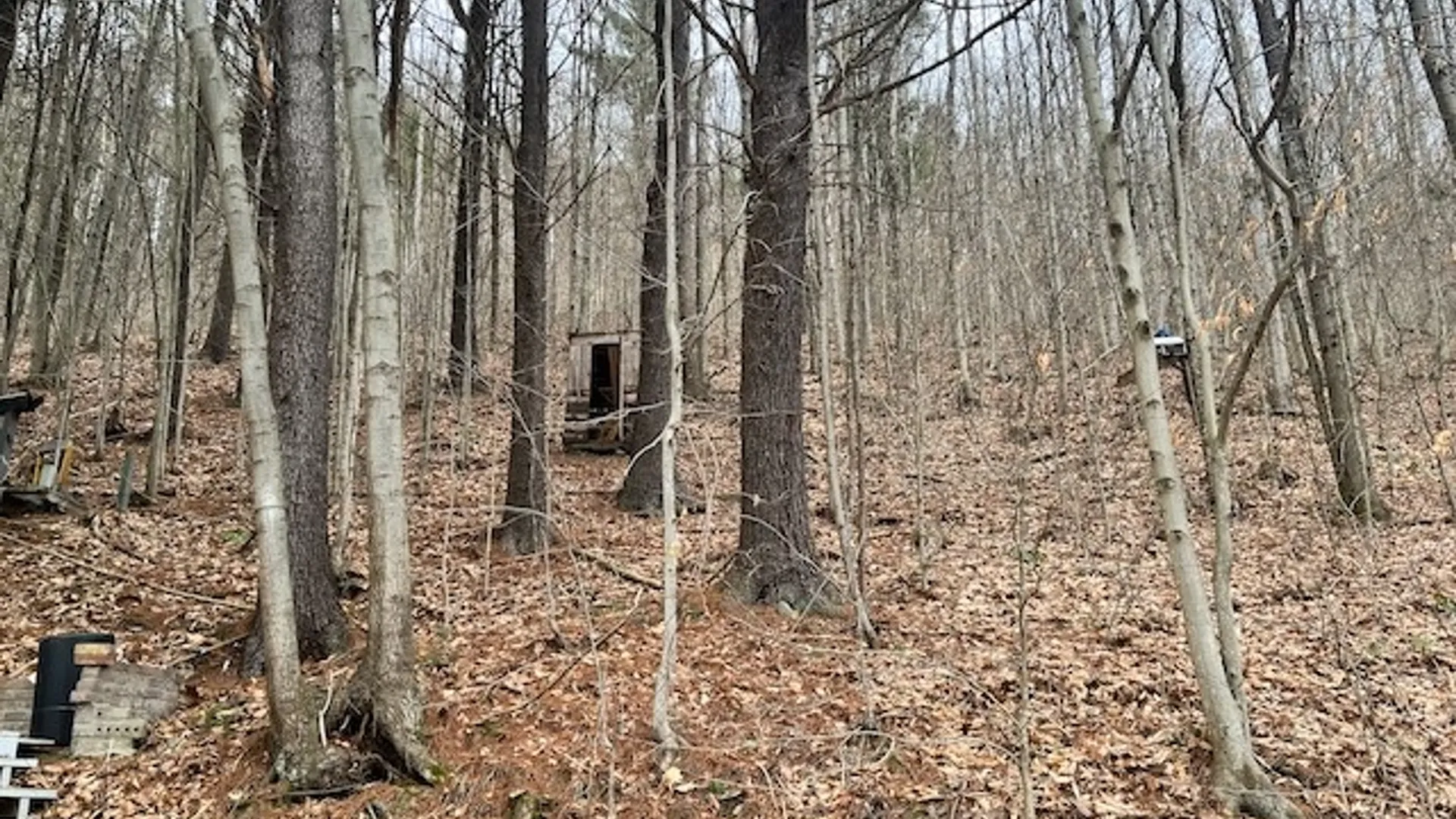 Property at 322 Nys Route 34, Van Etten, NY 14889 18