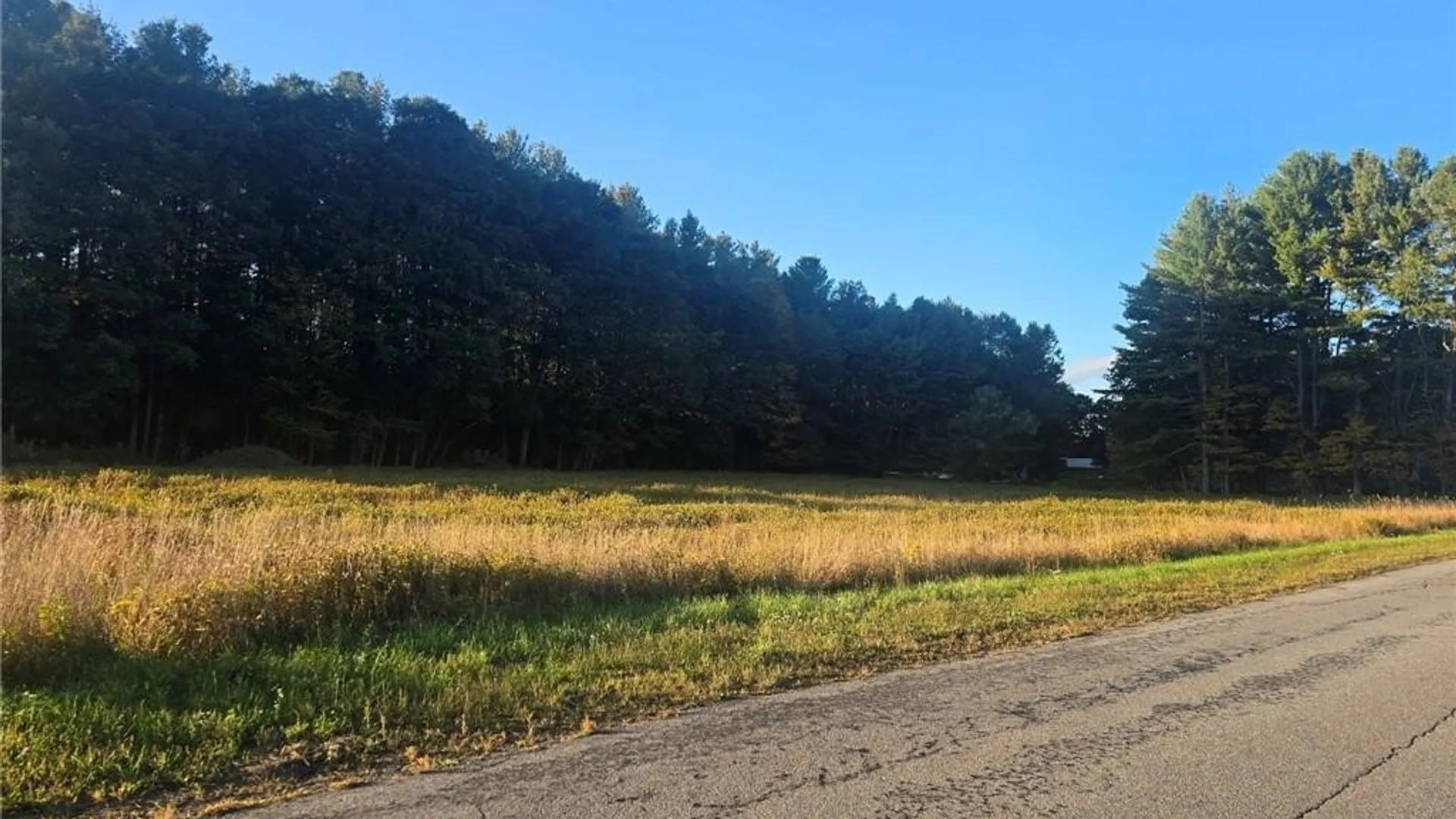 Property at 9550 Brewer Road, Camden, NY 13316 3