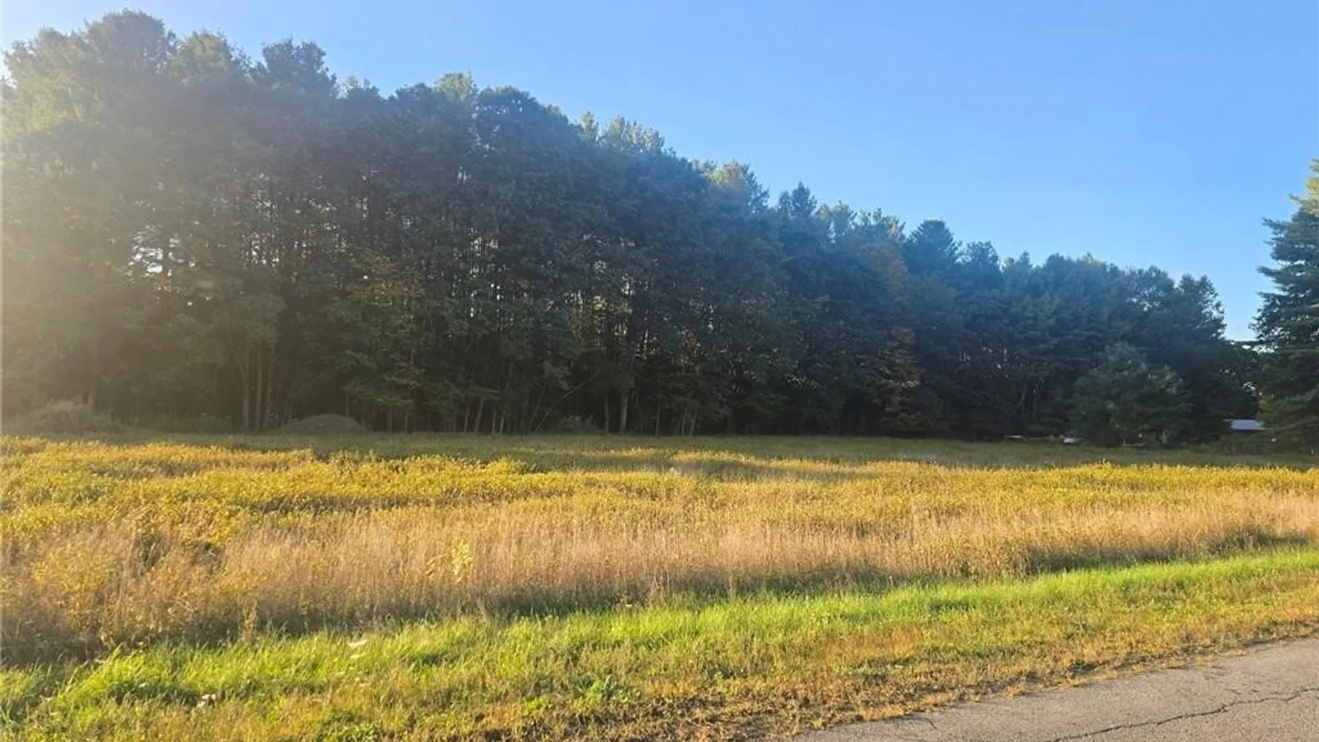 Property at 9550 Brewer Road, Camden, NY 13316 4