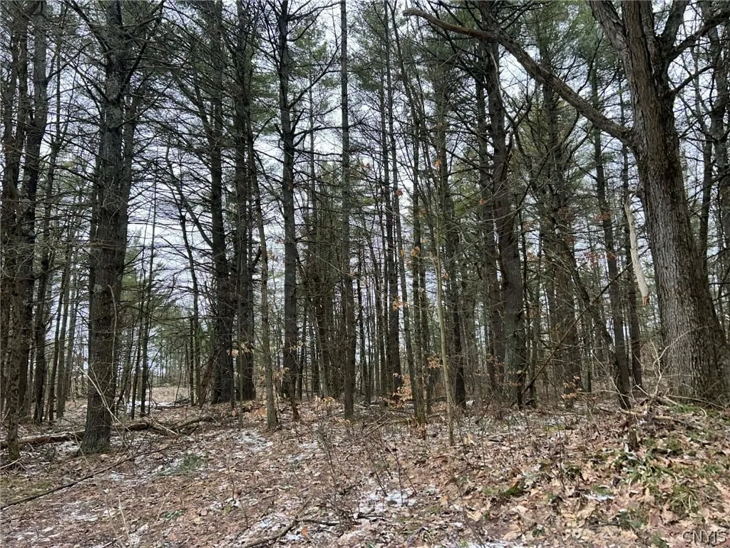 Property at Whitaker Road, Hammond, NY 13646