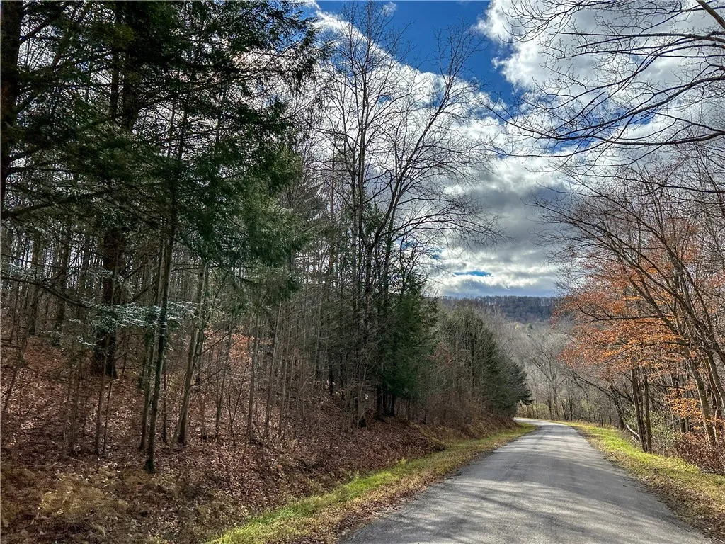 Property at Trapping Brook Road, Wellsville, NY 14895