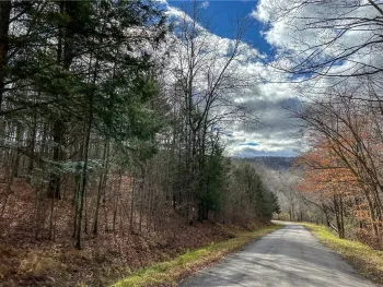 Property at Trapping Brook Road, Wellsville, NY 14895