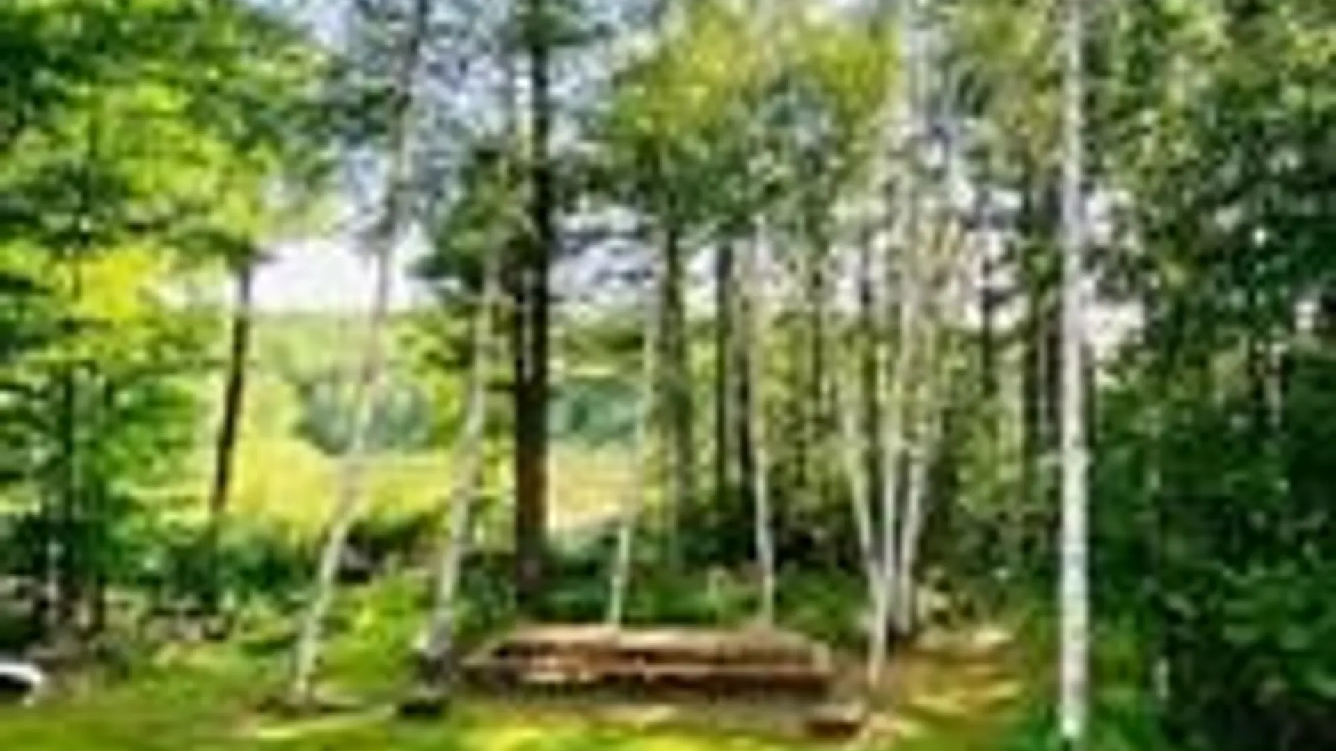 Property at 1565 Tupper Hill Road, Franklin, NY 13775 22