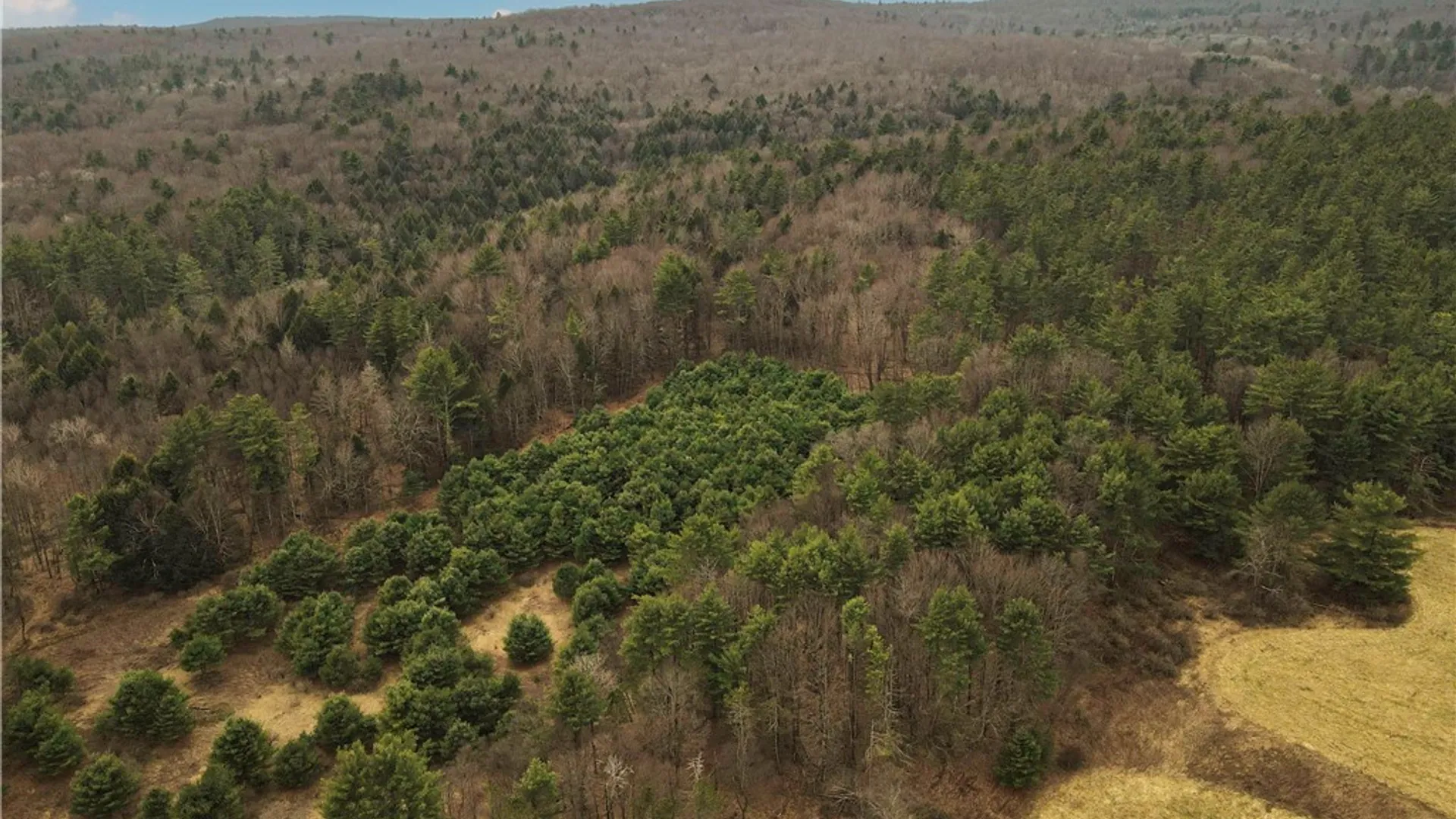 Property at 1975 State Highway 8, Guilford, NY 13809 7