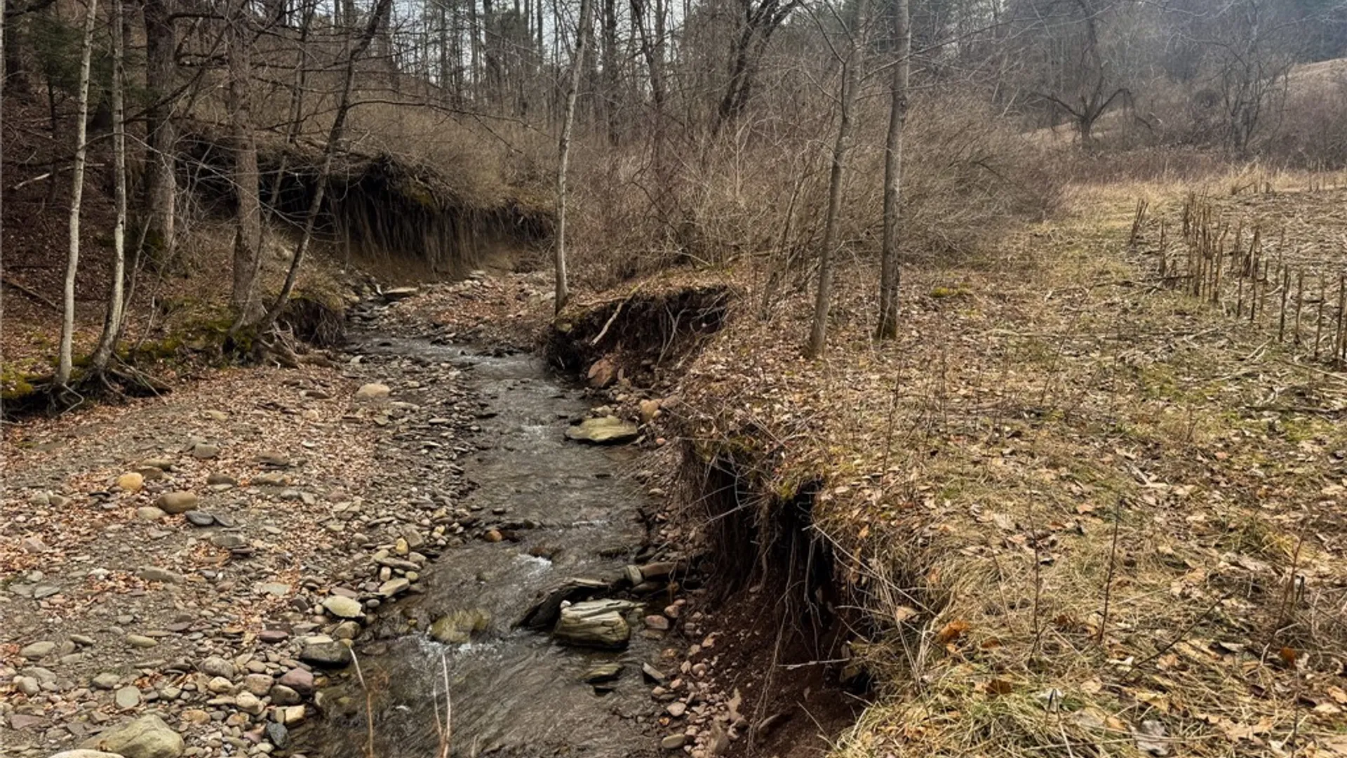 Property at 1975 State Highway 8, Guilford, NY 13809 9
