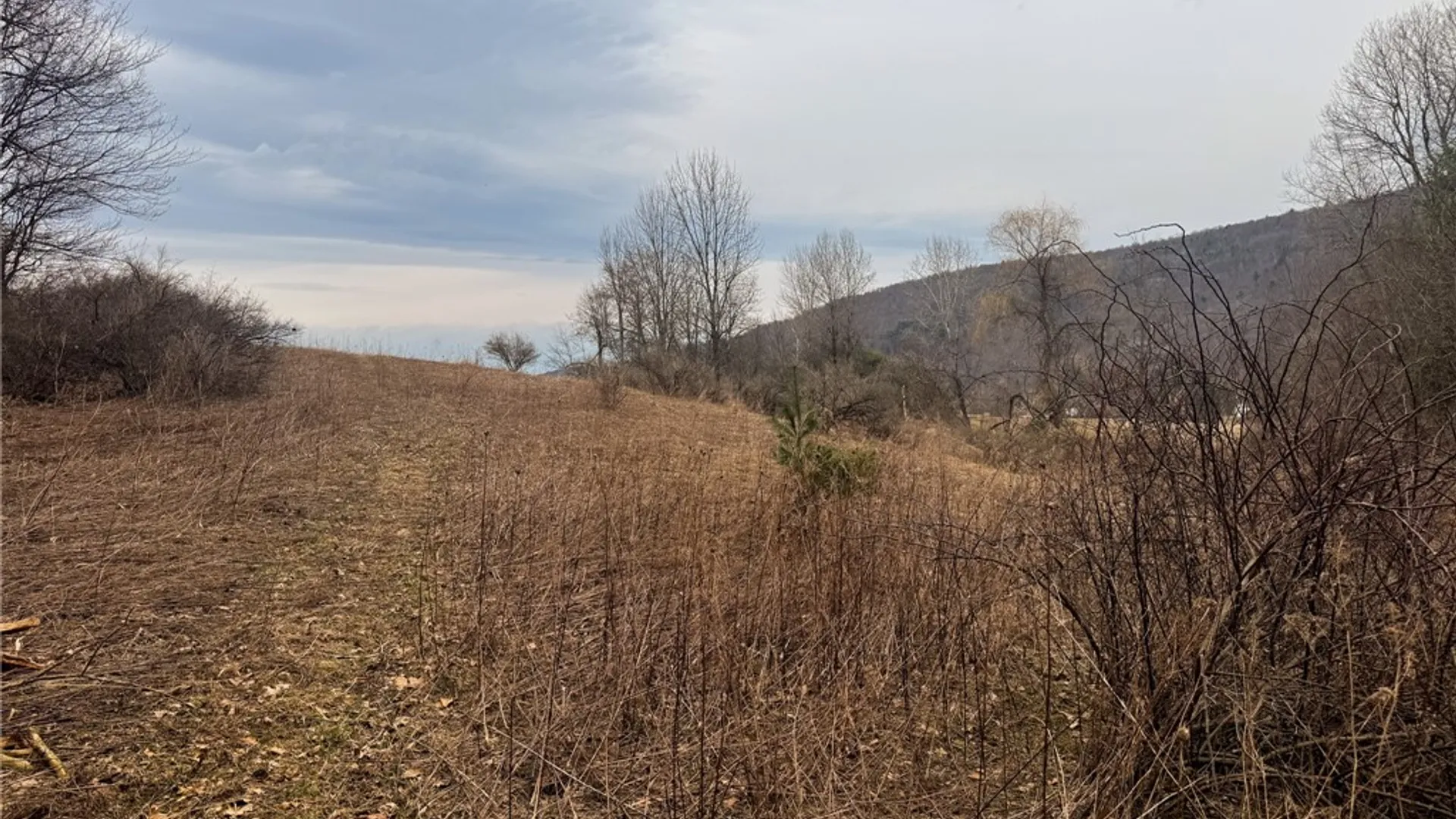 Property at 1975 State Highway 8, Guilford, NY 13809 10