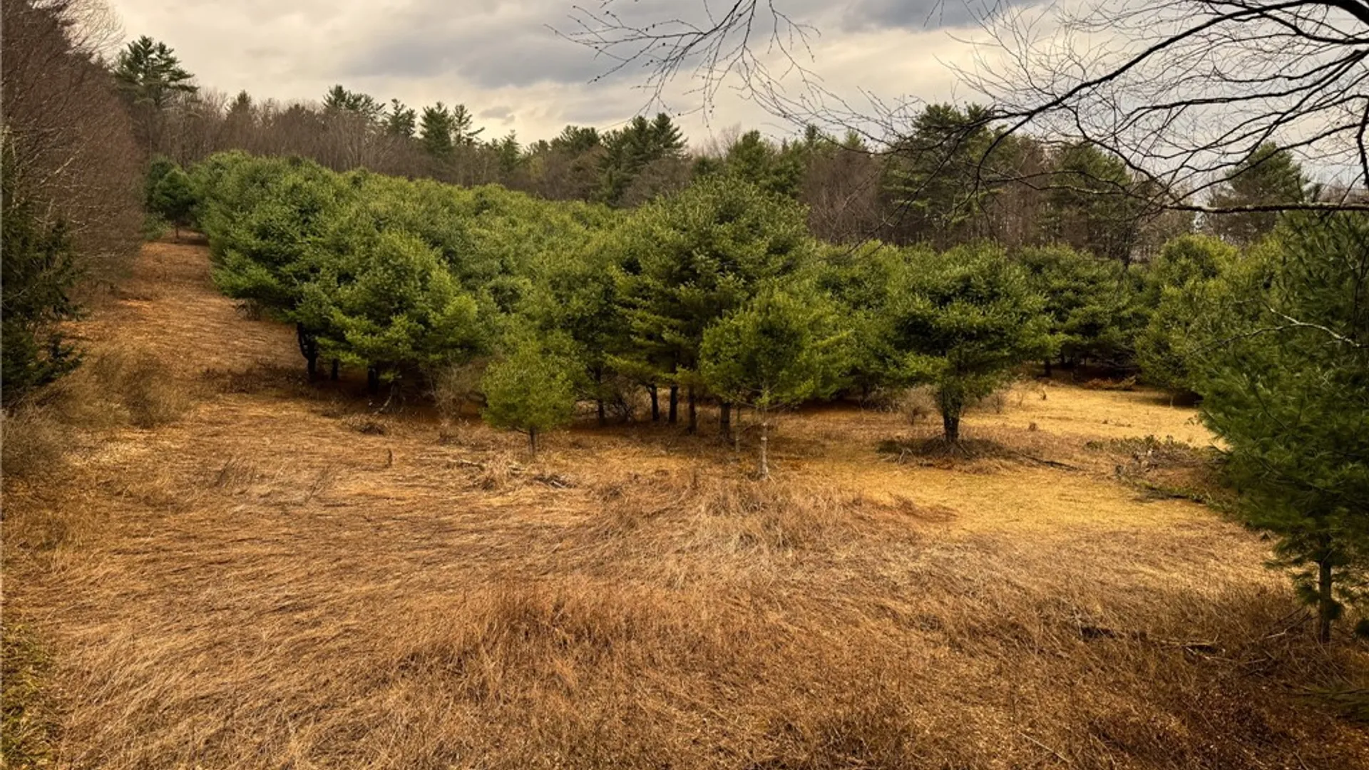 Property at 1975 State Highway 8, Guilford, NY 13809 12