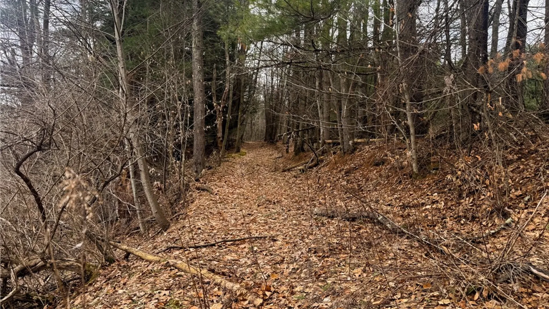 Property at 1975 State Highway 8, Guilford, NY 13809 13
