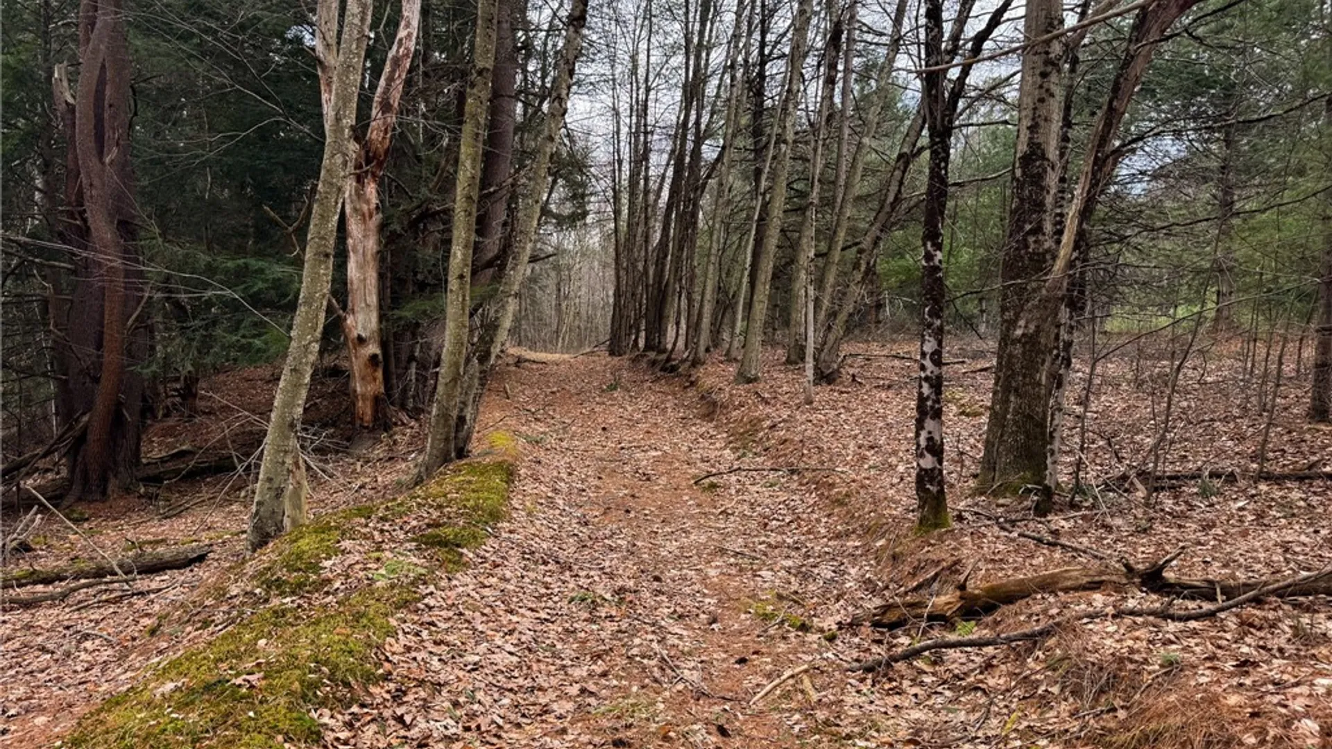 Property at 1975 State Highway 8, Guilford, NY 13809 14