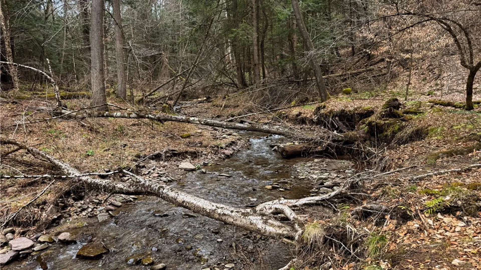 Property at 1975 State Highway 8, Guilford, NY 13809 15