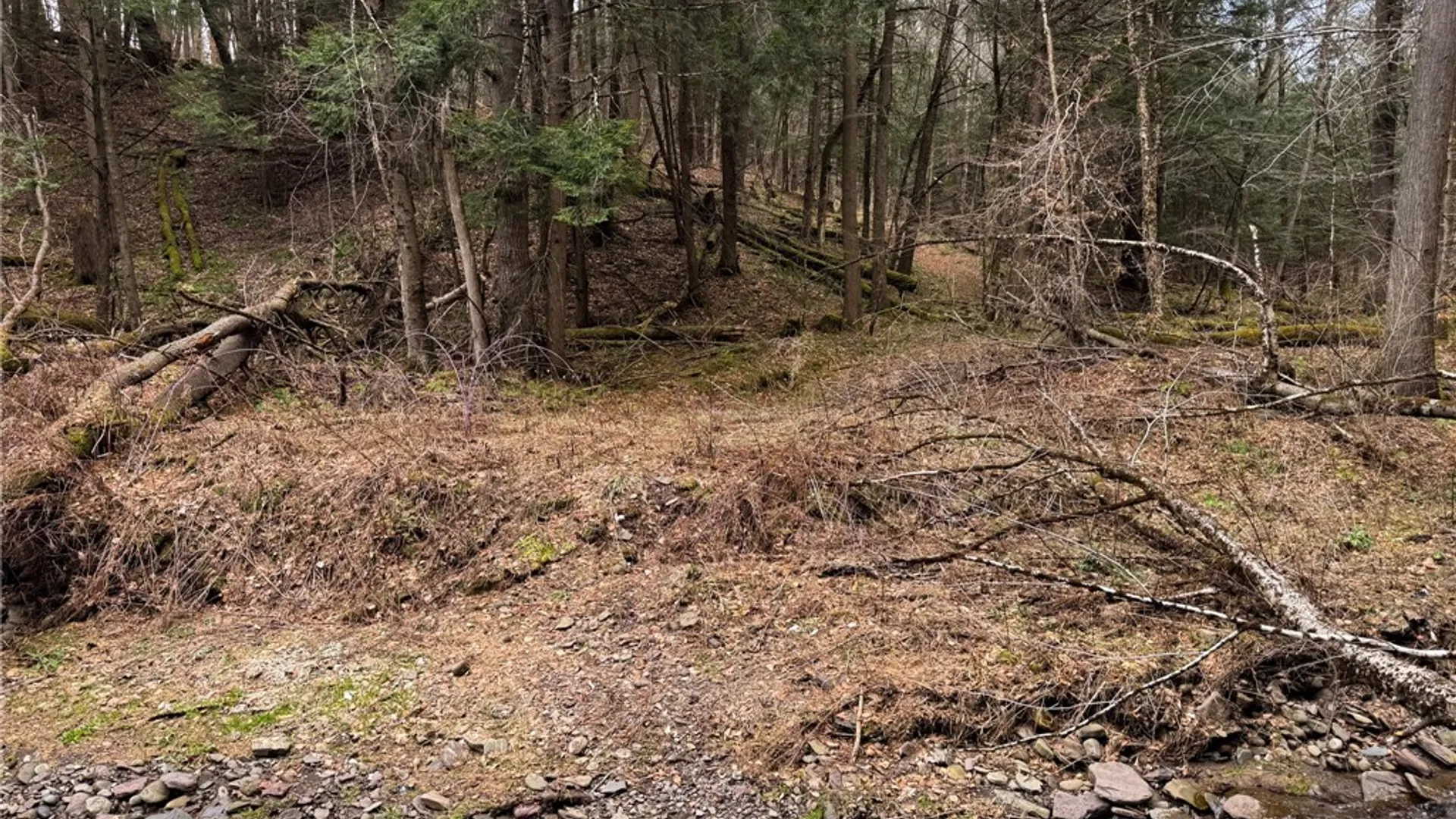 Property at 1975 State Highway 8, Guilford, NY 13809 16