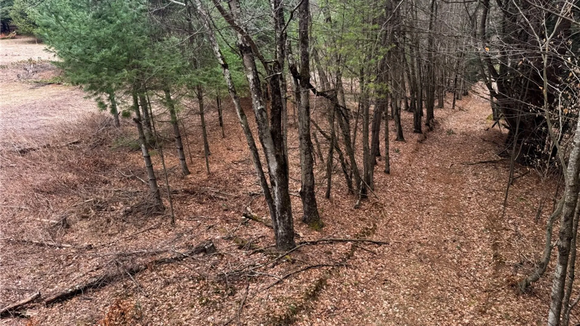 Property at 1975 State Highway 8, Guilford, NY 13809 17