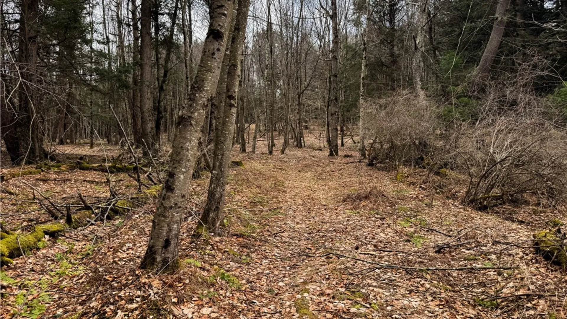 Property at 1975 State Highway 8, Guilford, NY 13809 19