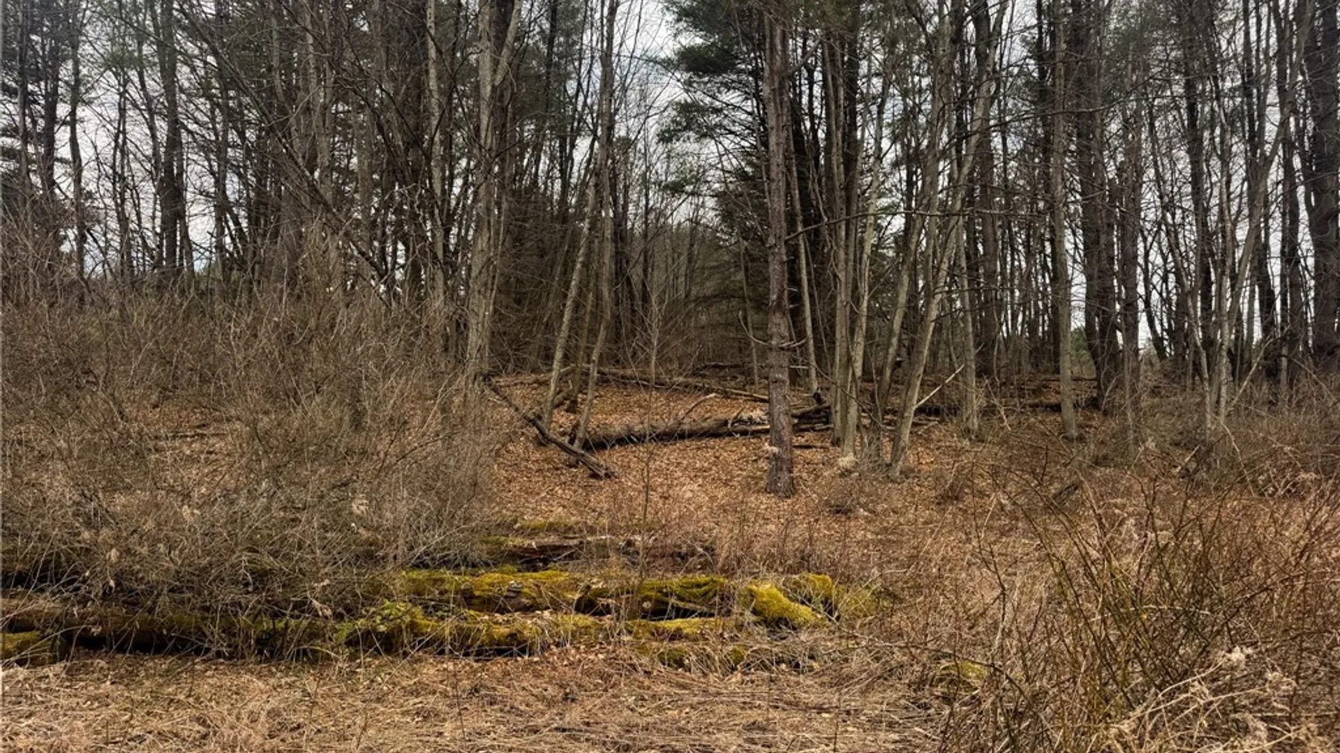 Property at 1975 State Highway 8, Guilford, NY 13809 20