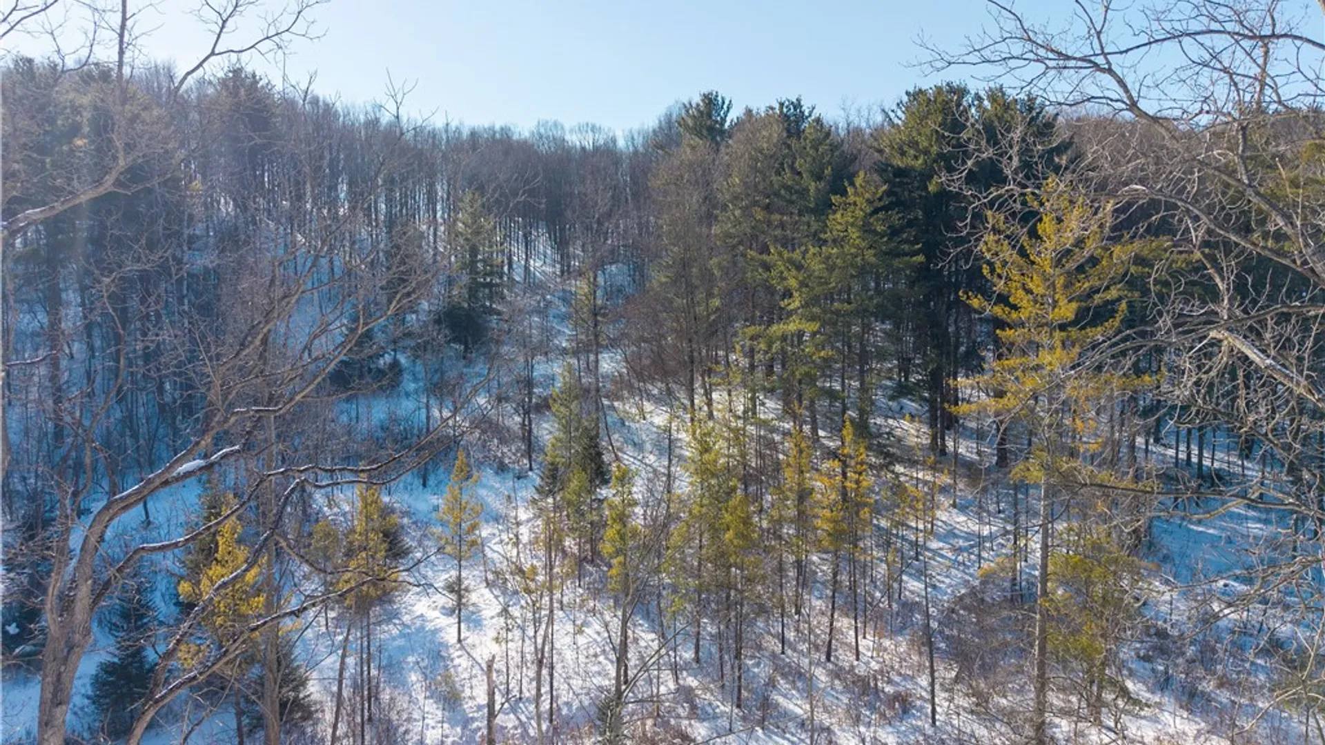 Property at 8823 Eelpot Road, Naples, NY 14512 37