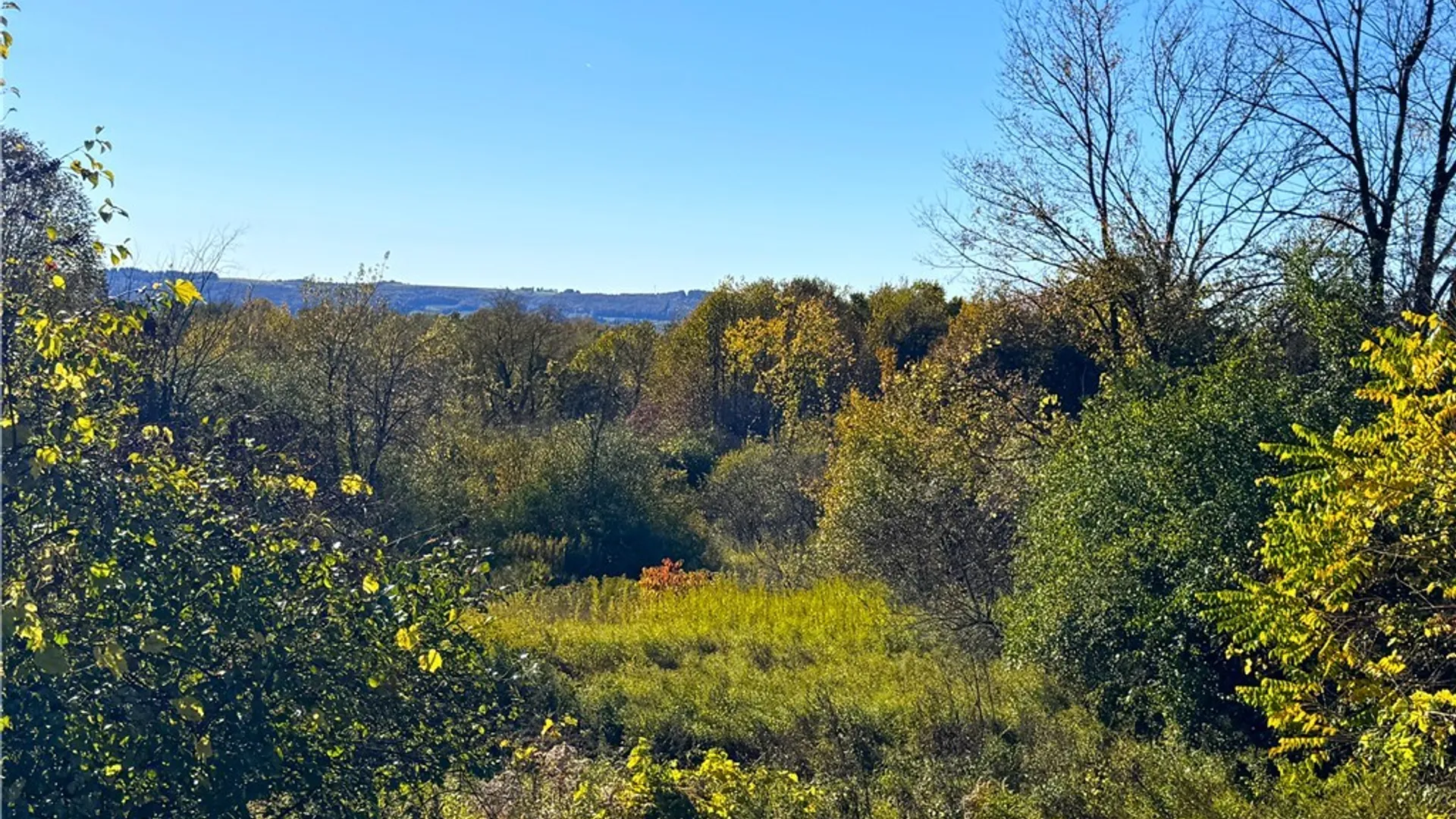 Property at Graffenburg Road, Frankfort, NY 13340 15
