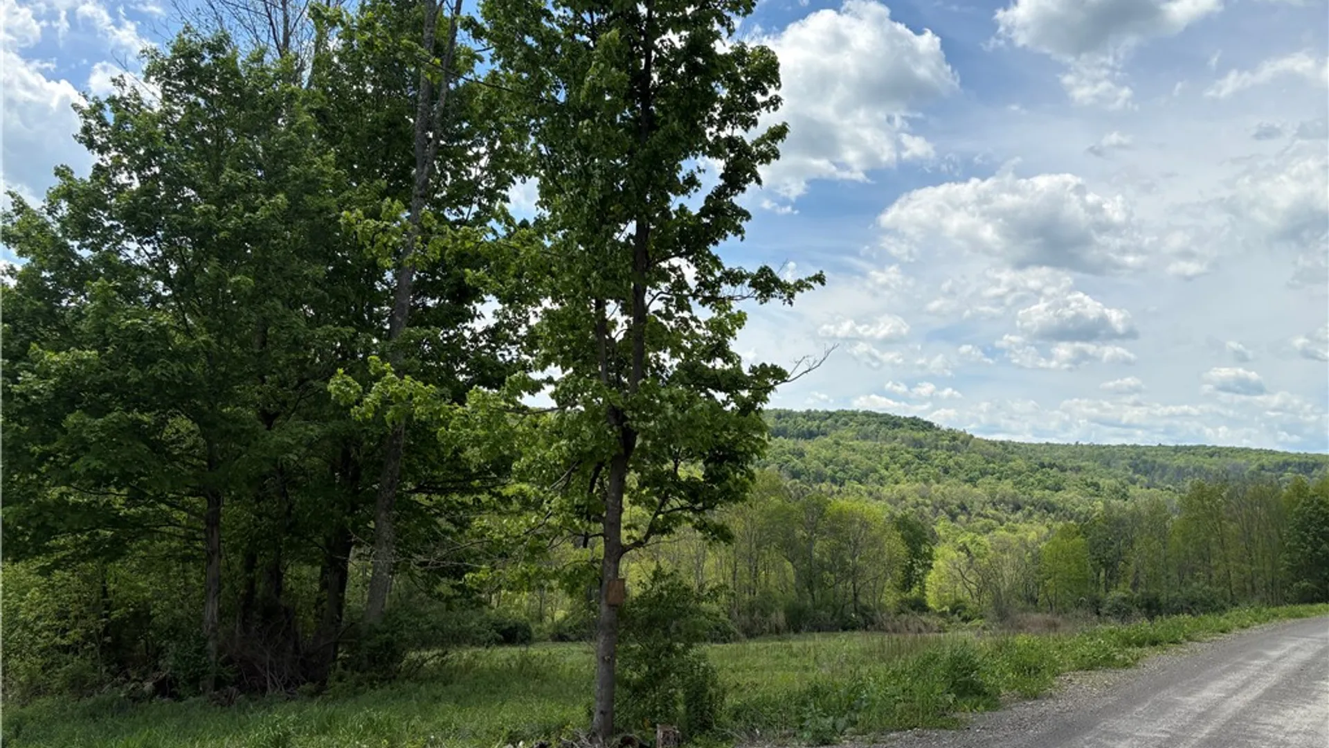 Property at County Road 46 Lower Ravine Road, Norwich, NY 13815 2