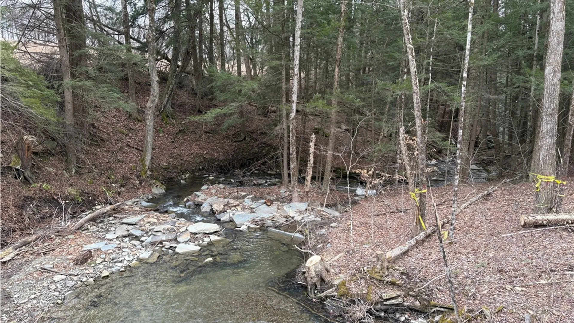 Property at County Road 46 Lower Ravine Road, Norwich, NY 13815 3
