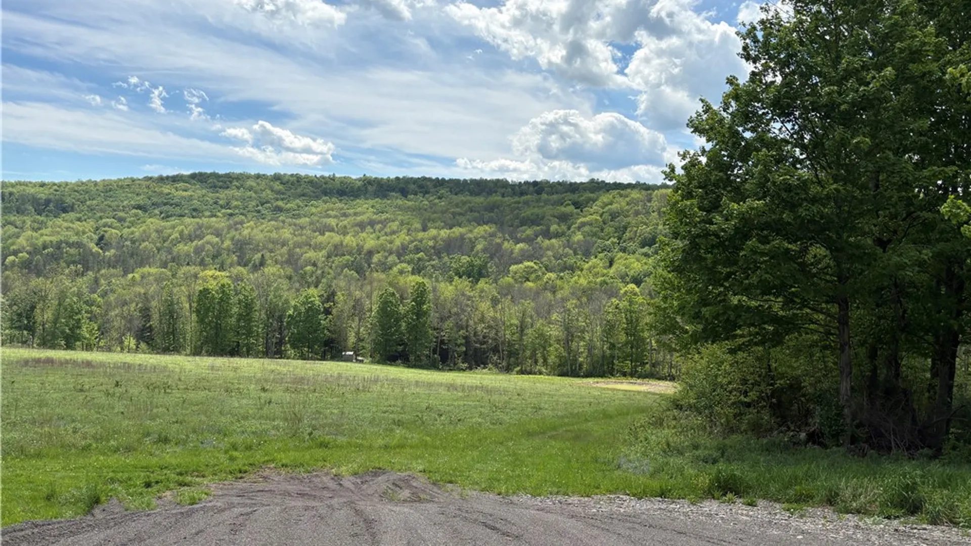 Property at County Road 46 Lower Ravine Road, Norwich, NY 13815 6