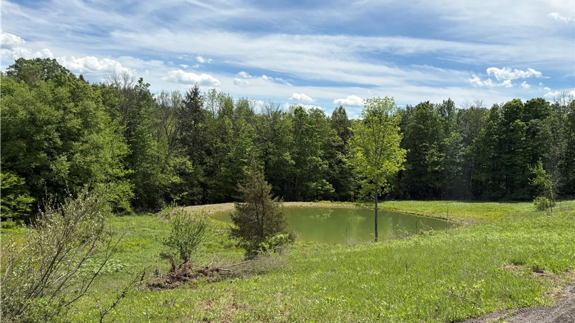 Property at County Road 46 Lower Ravine Road, Norwich, NY 13815 21