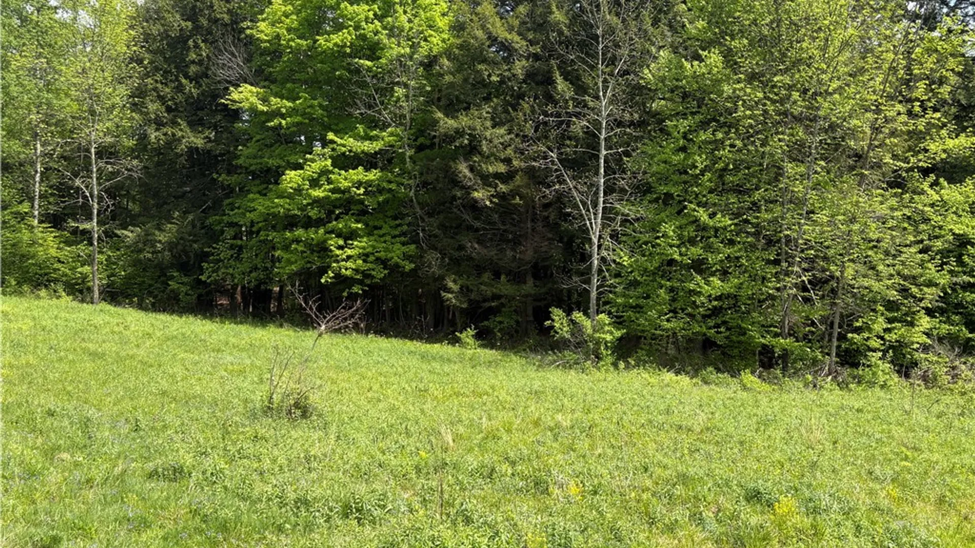Property at County Road 46 Lower Ravine Road, Norwich, NY 13815 22