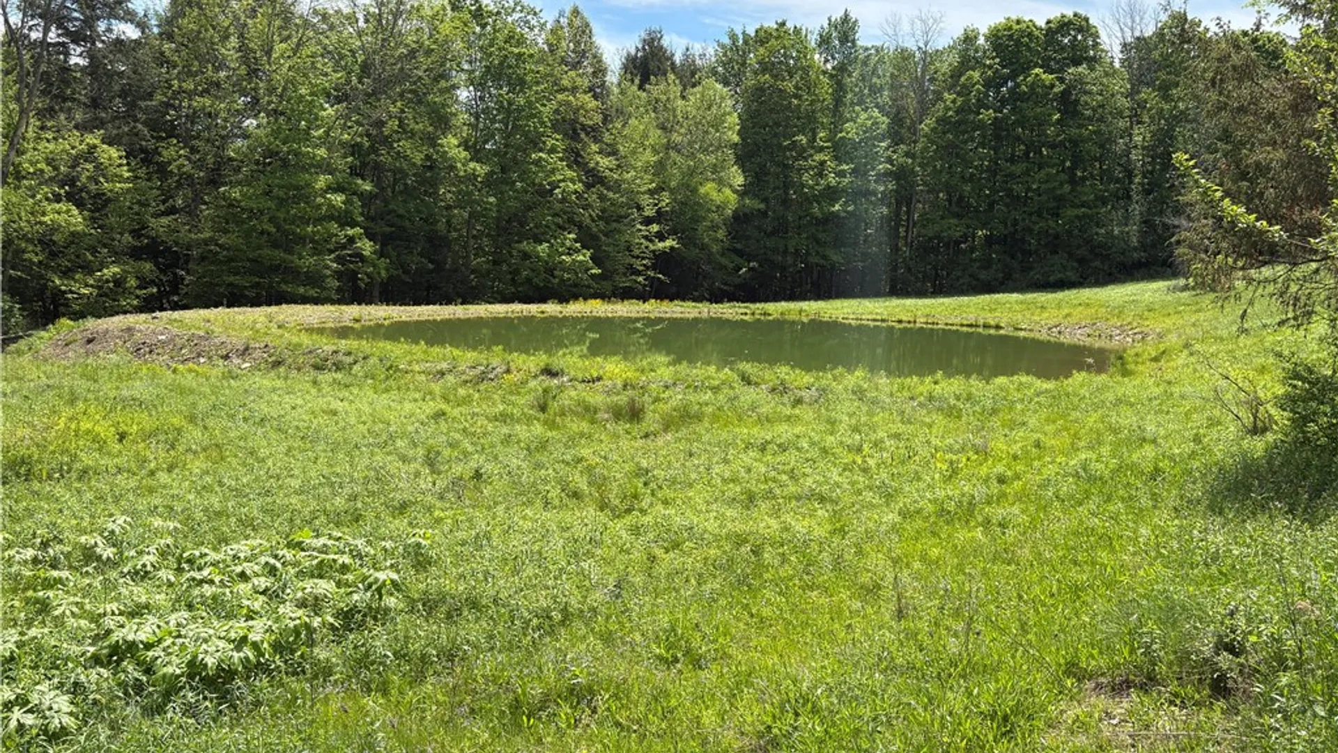 Property at County Road 46 Lower Ravine Road, Norwich, NY 13815 5