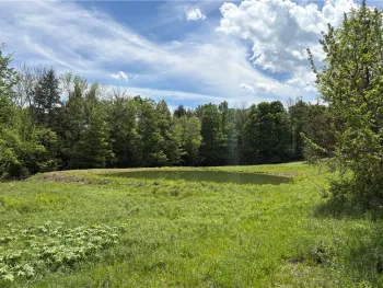Property at County Road 46 Lower Ravine Road, Norwich, NY 13815