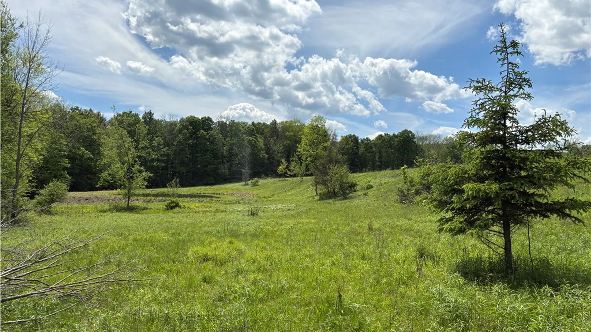 Property at County Road 46 Lower Ravine Road, Norwich, NY 13815 8