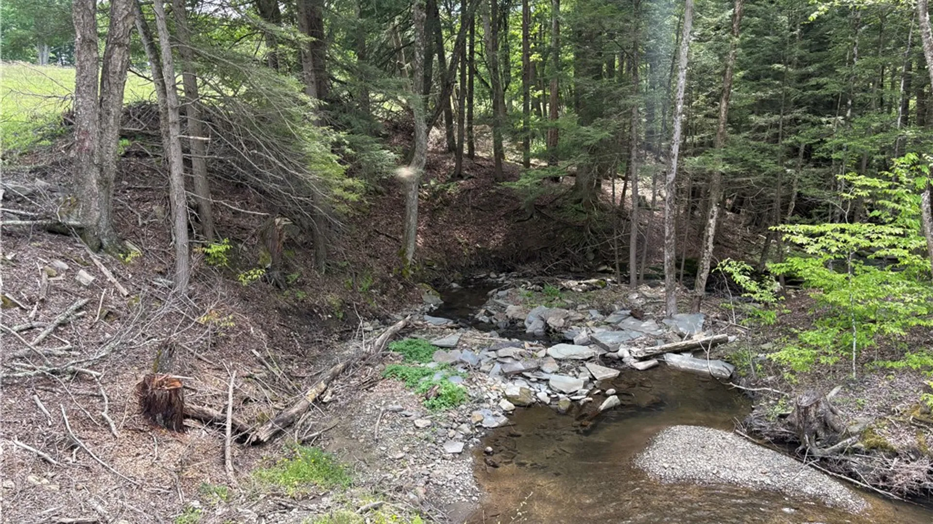 Property at County Road 46 Lower Ravine Road, Norwich, NY 13815 7
