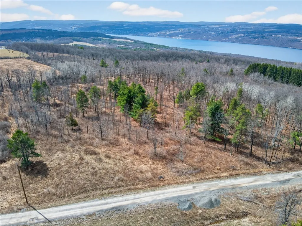 Property at Satterly Hill Road, Hector, NY 14818