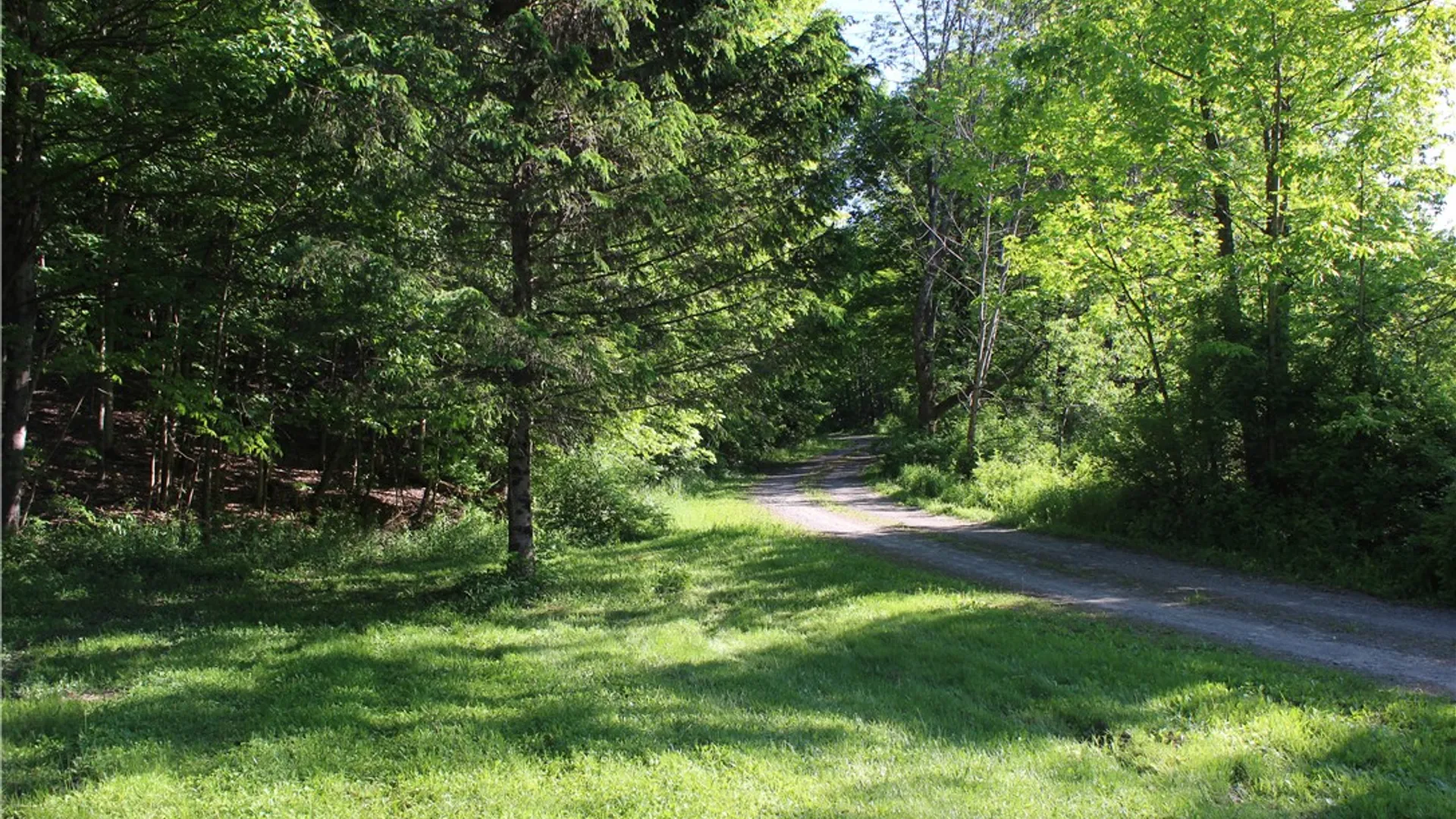 Property at 714 Pleasant Valley Road, Sherburne, NY 13460 11