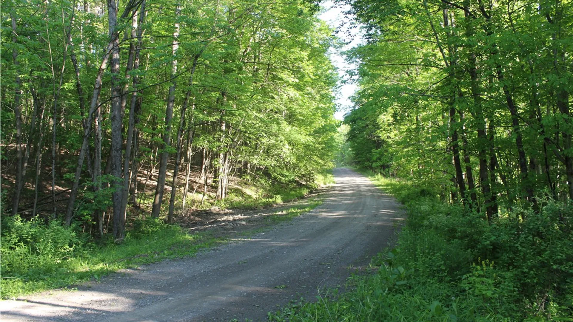 Property at 714 Pleasant Valley Road, Sherburne, NY 13460 12