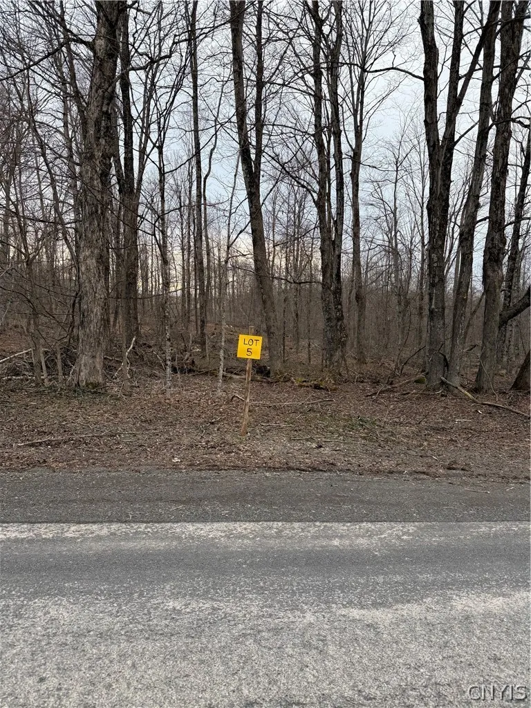 Property at 00 Skinner Lot 5 Road, Richfield, NY 13439
